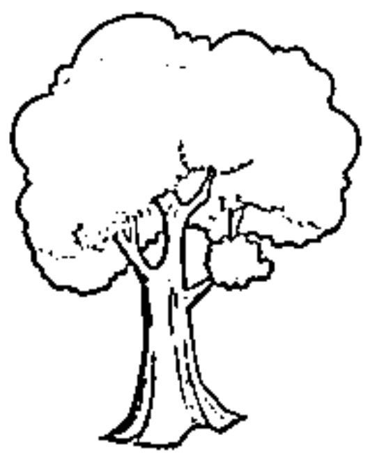 desenho do dia da árvore para colorir 3