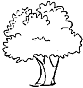 desenho do dia da árvore para colorir 5