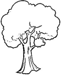 desenho do dia da árvore para colorir 9