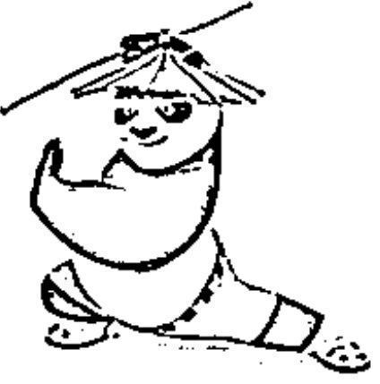 desenho do kung fu panda para colorir 10