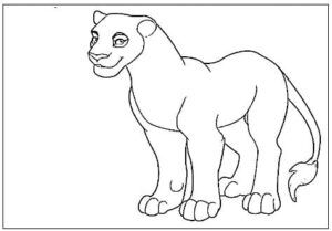 desenho do rei leão para colorir 14