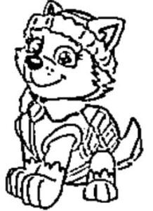 desenhos da patrulha canina para colorir 12